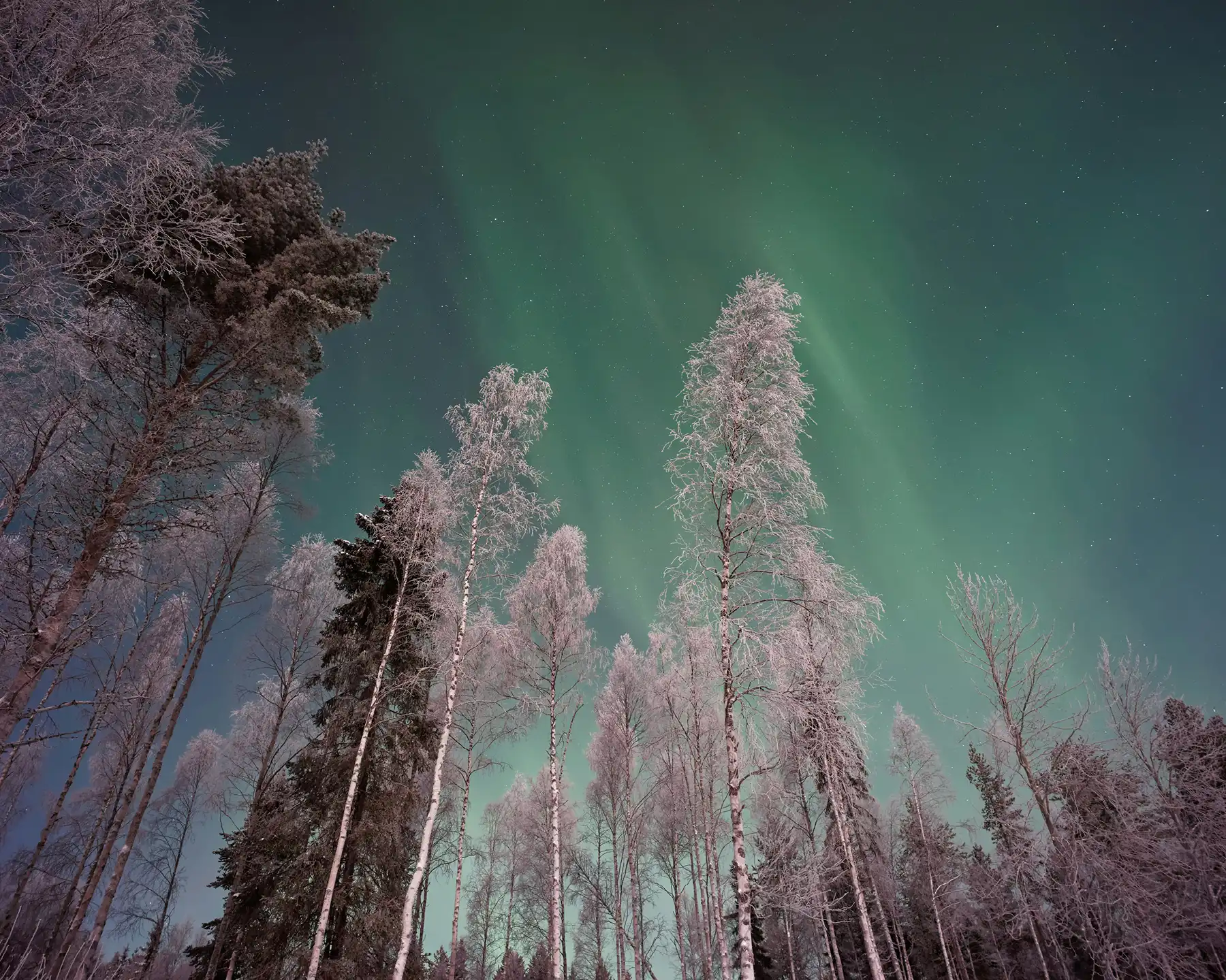 A description of my image.